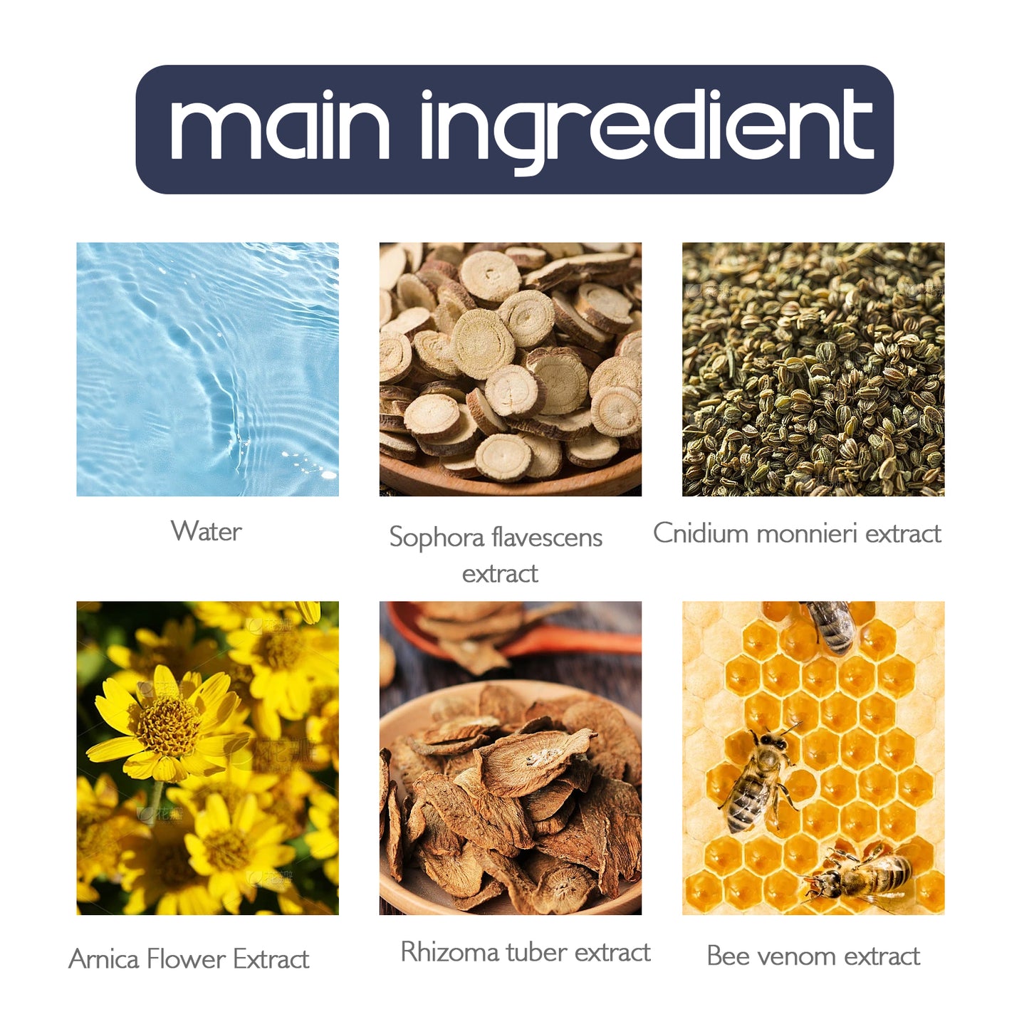 Bee Venom Joint Ointment, Relieves Hands Feet Bones Knees Lumbar Spine Sedentary Joint Pain Body Care Ointment