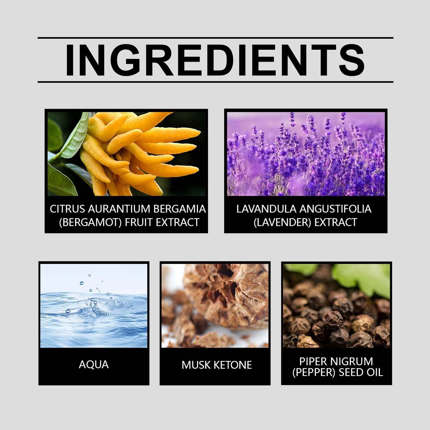 Strong Bergamot Perfume Perfume Lasting Fragrance Men Fresh And Natural Exudes Charm Niche Fragrance