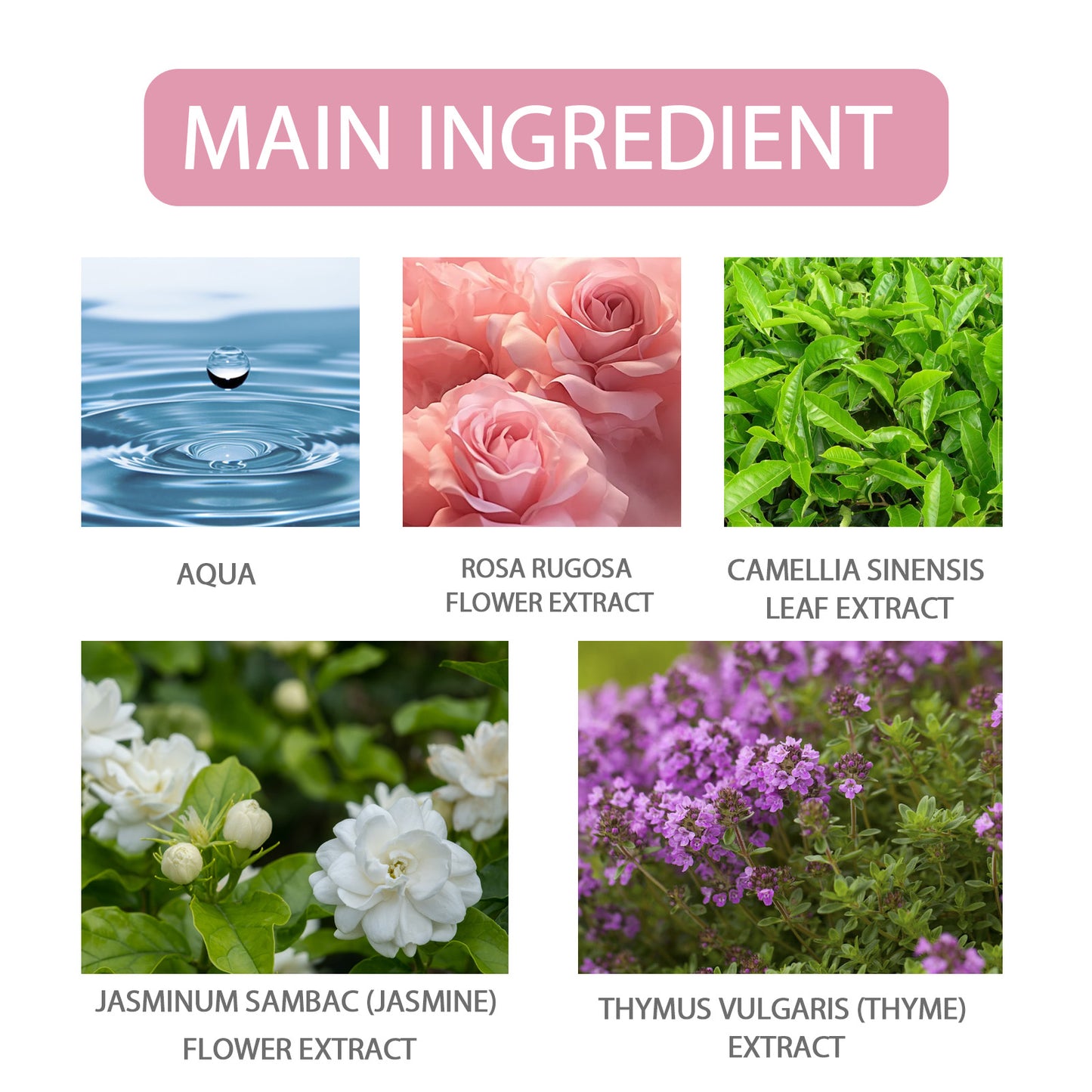 Pheromone Perfume Rose Fresh Light Fragrance Date Atmosphere Exudes Charm Long-Lasting Fragrance For Women