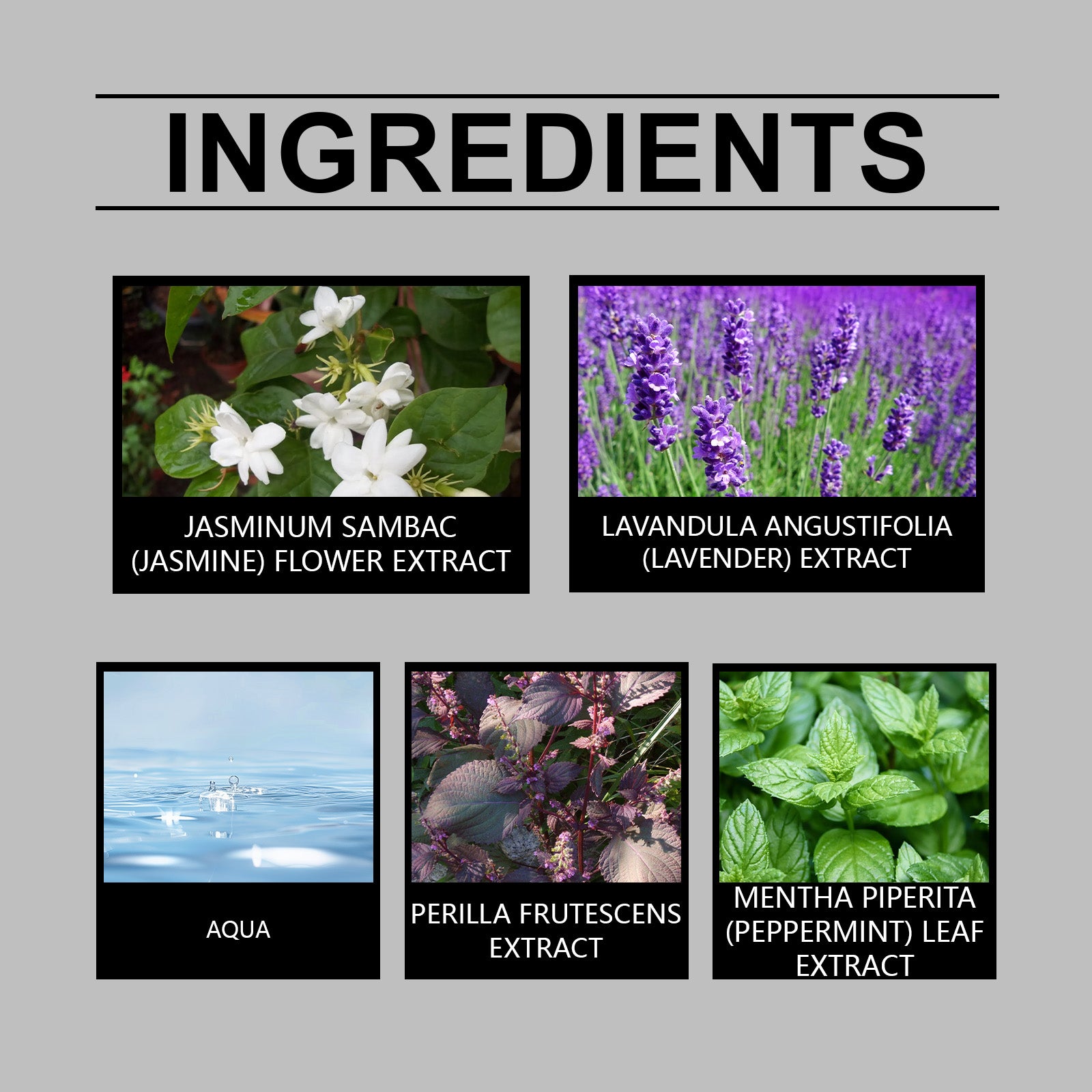 Romantic Pair Of Jasmine Perfume, Light Elegant Exudes Charm Leave Fragrance Fragrance Eau De Toilette Wood Floral Notes