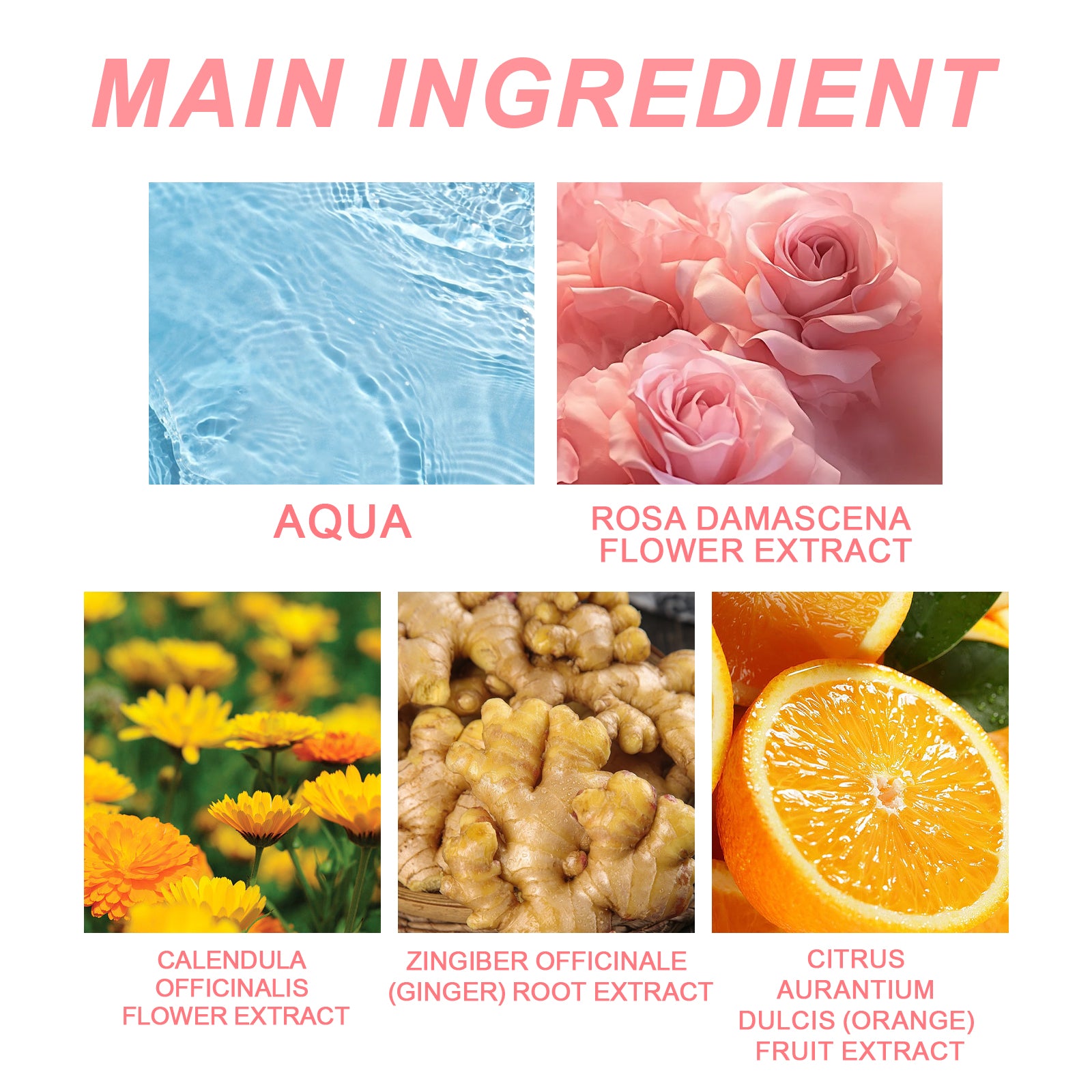 Colorless Rose Perfume, Lasting Fragrance For Women Fresh And Elegant Flower Language Series Elegant Charming Fragrance