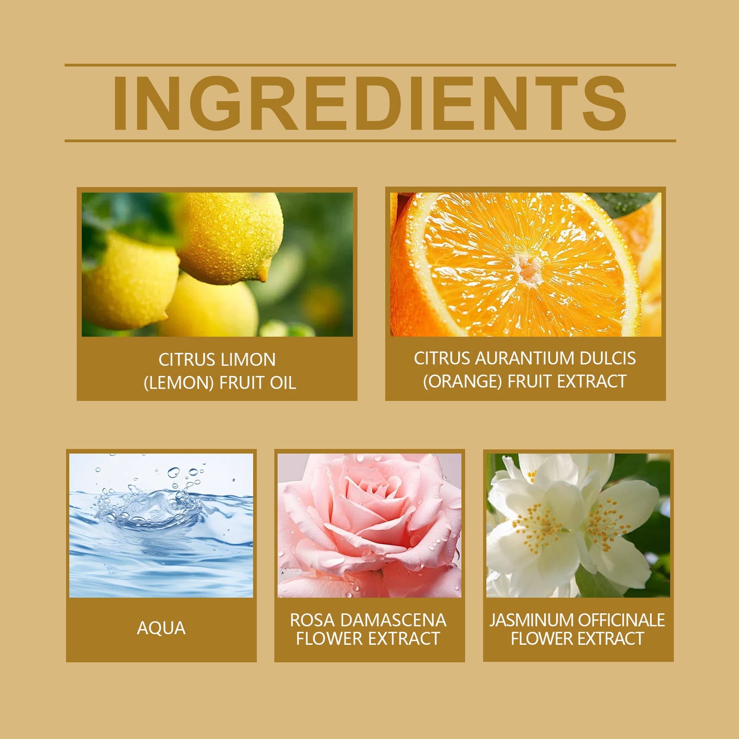 Charm Cologne Natural Fresh Light Elegant Charm Atmosphere Dating Light Fragrance Lasting Fragrance Elegant Perfume