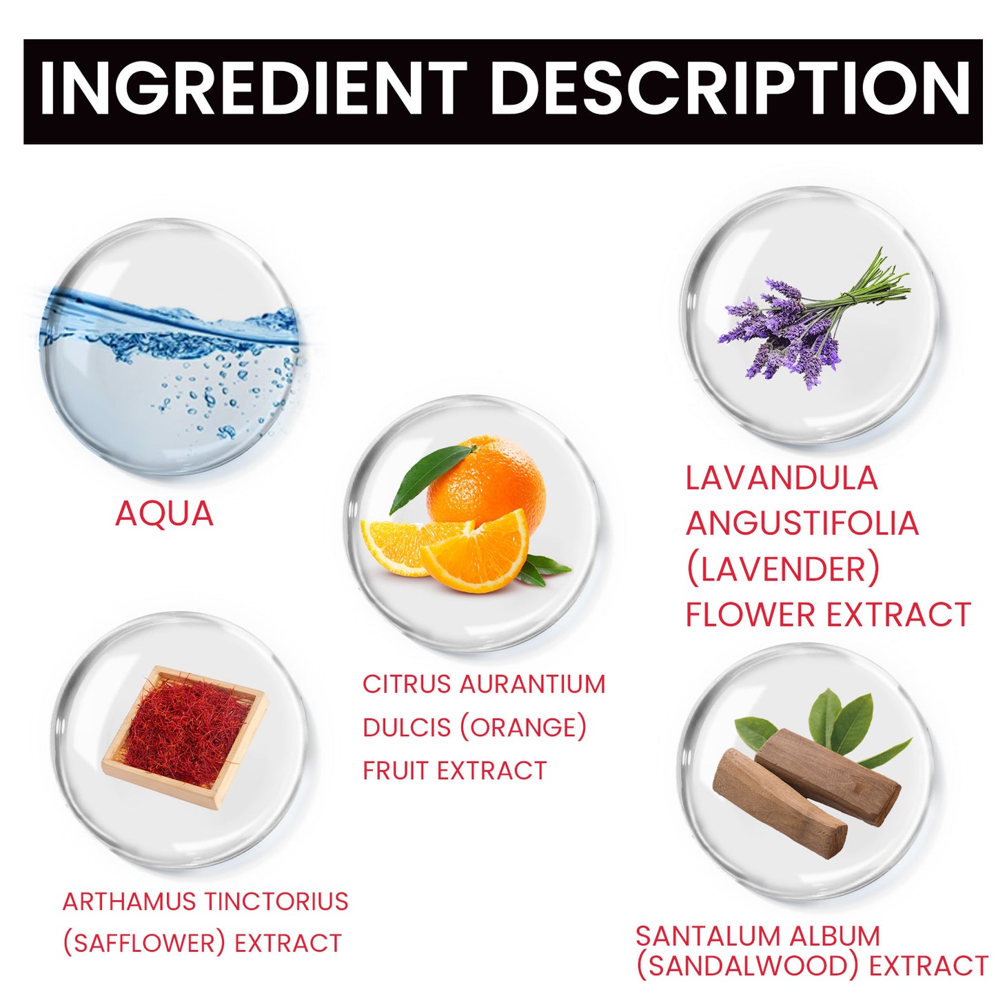 Empire Eau De Toilette, Exude Charm Fragrance Lasting Fragrance Fresh And Mild Natural Non-Pungent Perfume