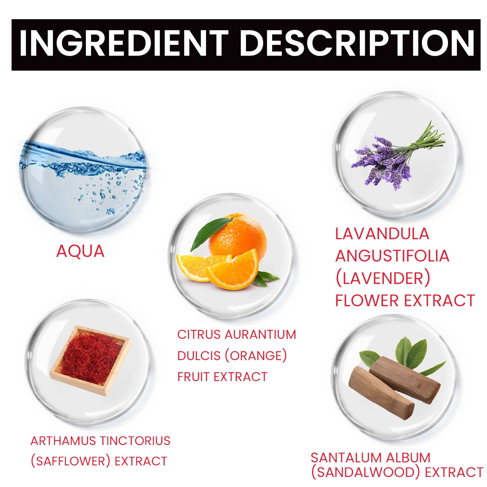 Empire Eau De Toilette, Exude Charm Fragrance Lasting Fragrance Fresh And Mild Natural Non-Pungent Perfume