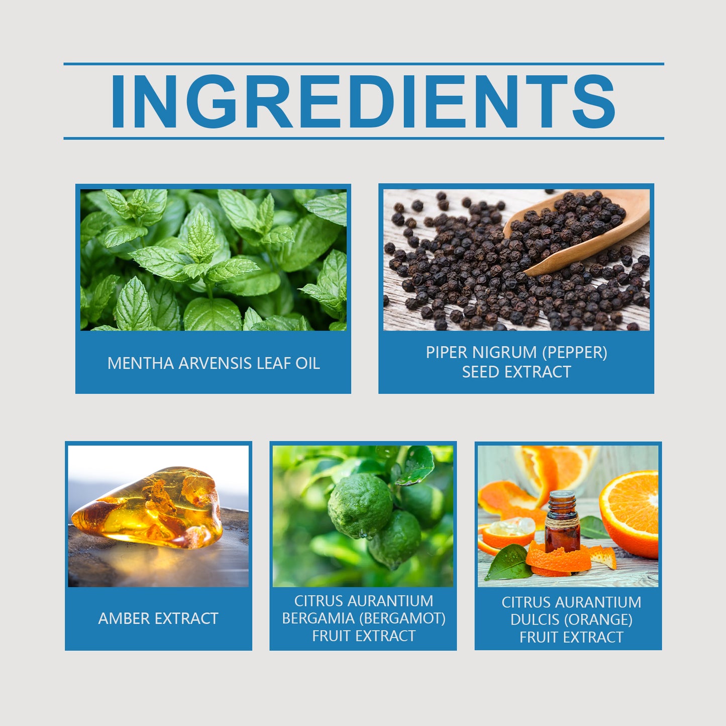 Men's Mint Cologne, Exudes Personal Charm Lasting Fragrance Light Fragrance Fresh Atmosphere Cologne