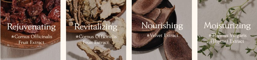 CHOGONGJIN Sosaeng Jin Skincare Set 3